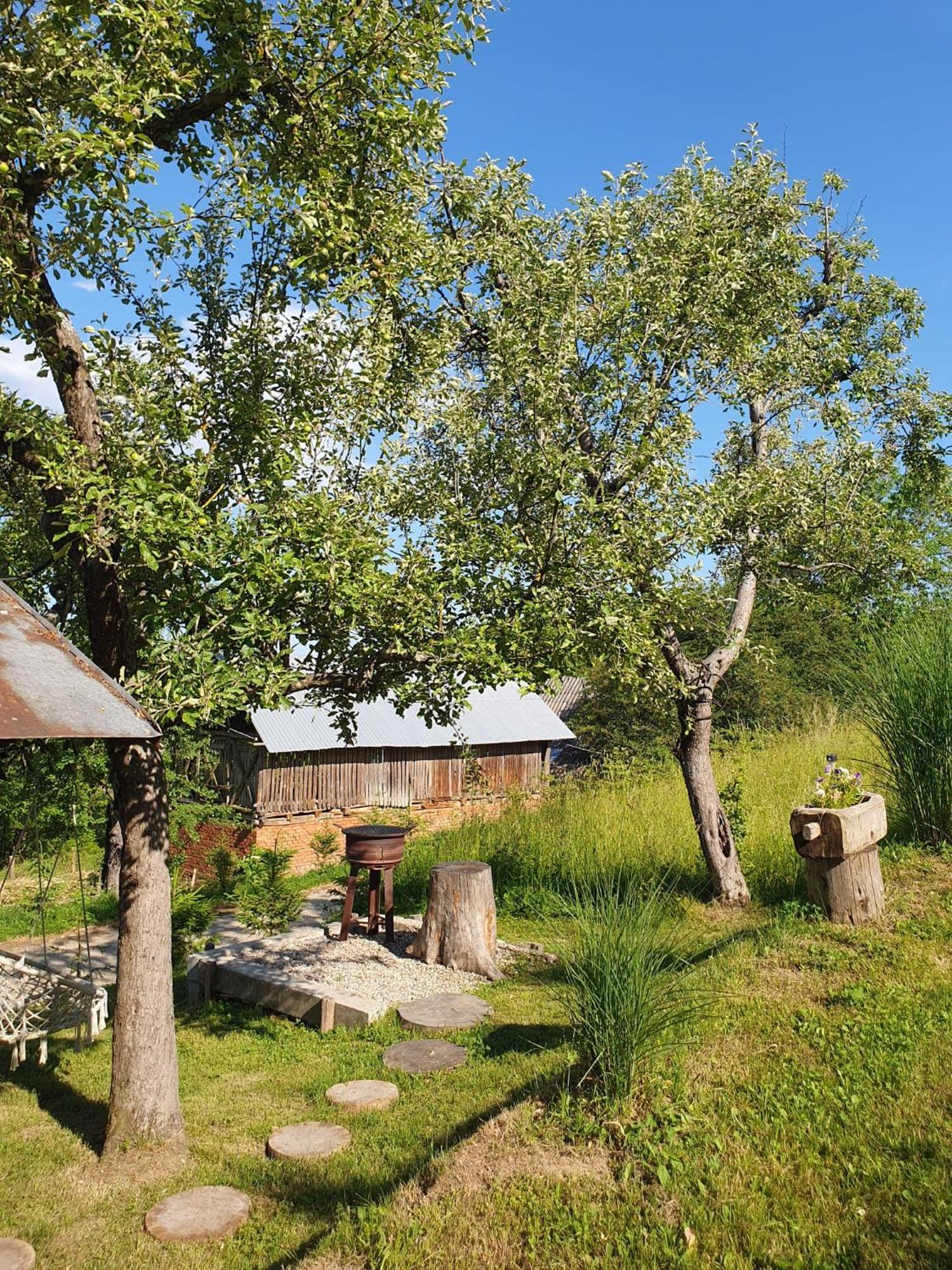 Cabana Valea Lui Mas Robaia 外观 照片
