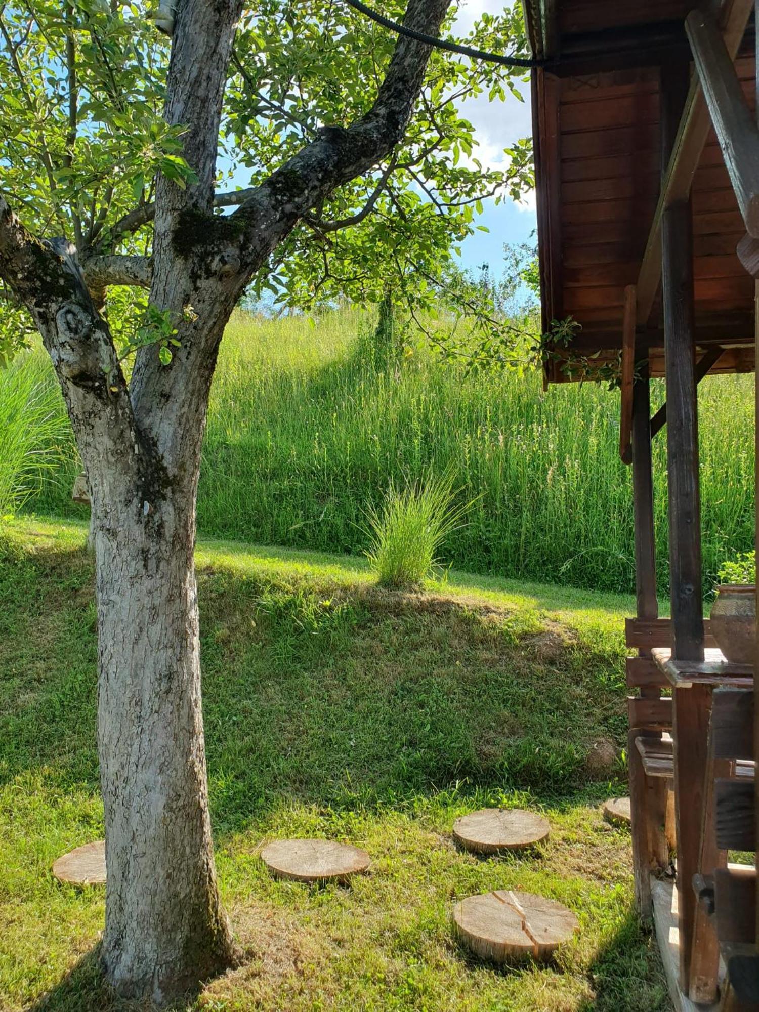 Cabana Valea Lui Mas Robaia 外观 照片